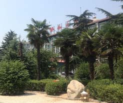 河南协和医院植发中心四季常青的小花园