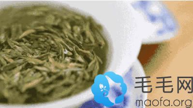 绿茶有利于头发健康生长